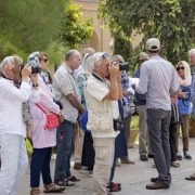 dsfr_6982_1545074444