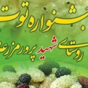 jashnevareh tot (Copy)