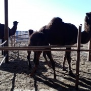 WhatsApp Image 2019-11-15 at 11.32.45 PM