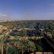 ظطططظ