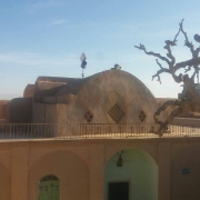 image.png (1)