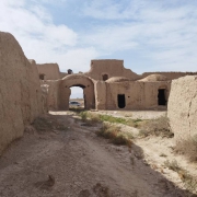 image.png (1)