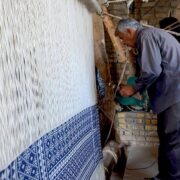 IMG_20240605_083340